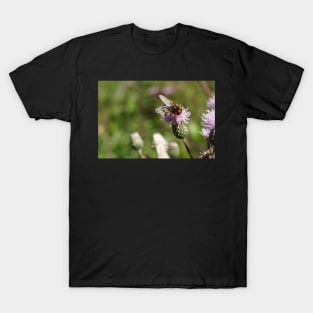 Bee With Red-brown Eyes T-Shirt